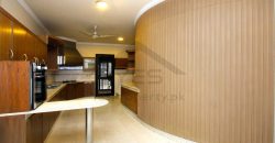 1.25 Kanal house for rent luxury designed