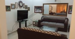 10 MARLA FURNISHED HOUSE FOR RENT IN DHA PHASE 8