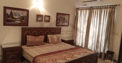 10 MARLA FURNISHED HOUSE FOR RENT IN DHA PHASE 8