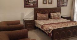 10 MARLA FURNISHED HOUSE FOR RENT IN DHA PHASE 8