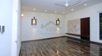 1 Kanal Marvelous House for Rent in Phase 5 DHA Lahore