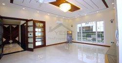 1 Kanal Marvelous House for Rent in Phase 5 DHA Lahore