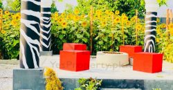 HALF ACRE CORNER FARM HOUSE AVAILABLE FOR SALE BEDIAN ROAD LAHORE