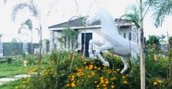 HALF ACRE CORNER FARM HOUSE AVAILABLE FOR SALE BEDIAN ROAD LAHORE