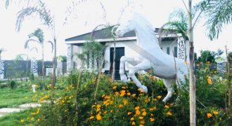 HALF ACRE CORNER FARM HOUSE AVAILABLE FOR SALE BEDIAN ROAD LAHORE