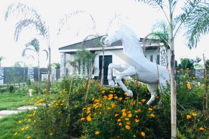 HALF ACRE CORNER FARM HOUSE AVAILABLE FOR SALE BEDIAN ROAD LAHORE