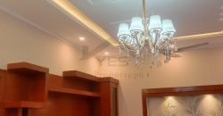 7 Marla Brand New Luxury Lush Double Story Corner House For Sale in Jinnah Garden Islamabad