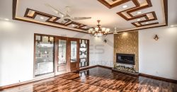 1 Kanal Brand New House For Rent DHA Phase 7 Lahore