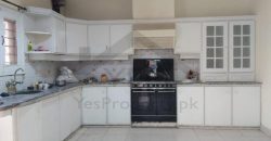 1 Kanal Beautiful House For Rent in DHA Phase 1 Lahore