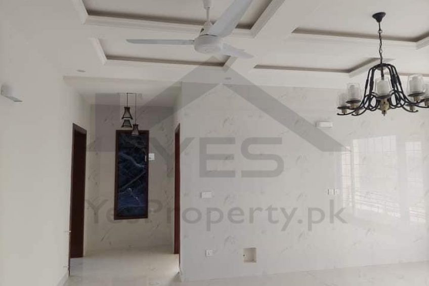 1 KANAL BRAND NEW HOUSE for sale in D12 ISLAMABAD