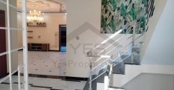 10 Marla house for rent in Shadab Society