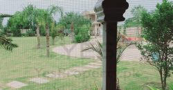 5.5 kanal luxury Farm house for sale in Sue-e-Asal