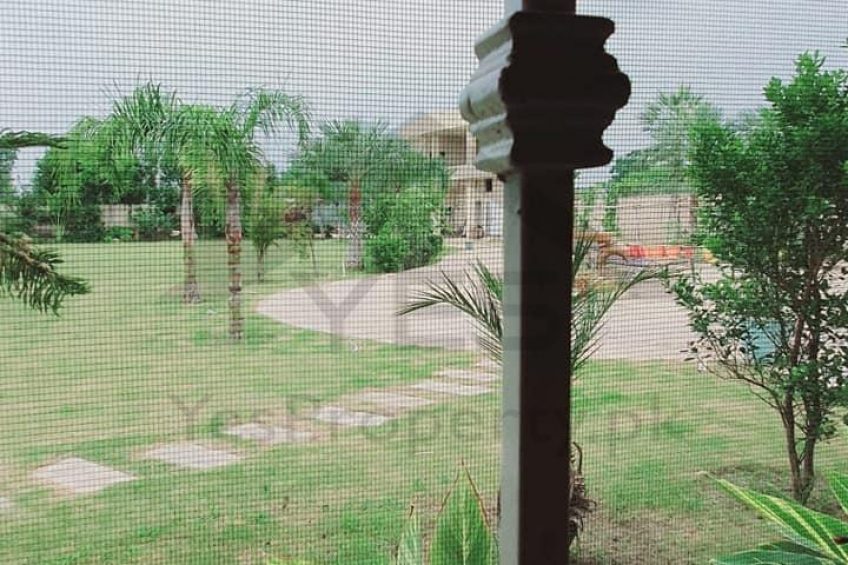 5.5 kanal luxury Farm house for sale in Sue-e-Asal