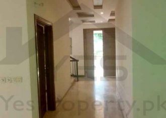 1 Kanal Full House Available For Rent Available in E block DHA phase 6 masjid chowk