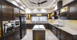 10 Marla luxury House For Sale in DHA