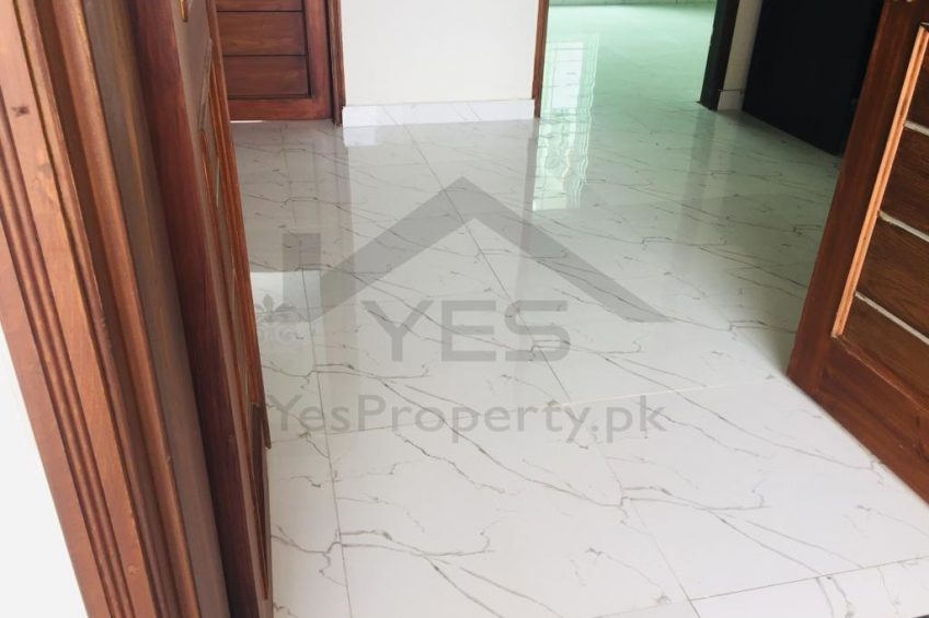 5 Marla Brand New House for Sale in Khayaban-e-Ameen