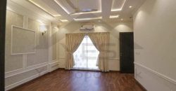 1 kanal Brand New Stylish House For Sale Dha Lahore