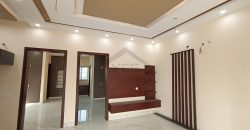 8 Marla Beautiful Brand New House For Sale in DHA Phase Xi Sector-3 Halloki Garden