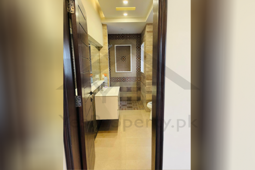 DHA Lahore phase 6 D-block 10 Marla house for SALE